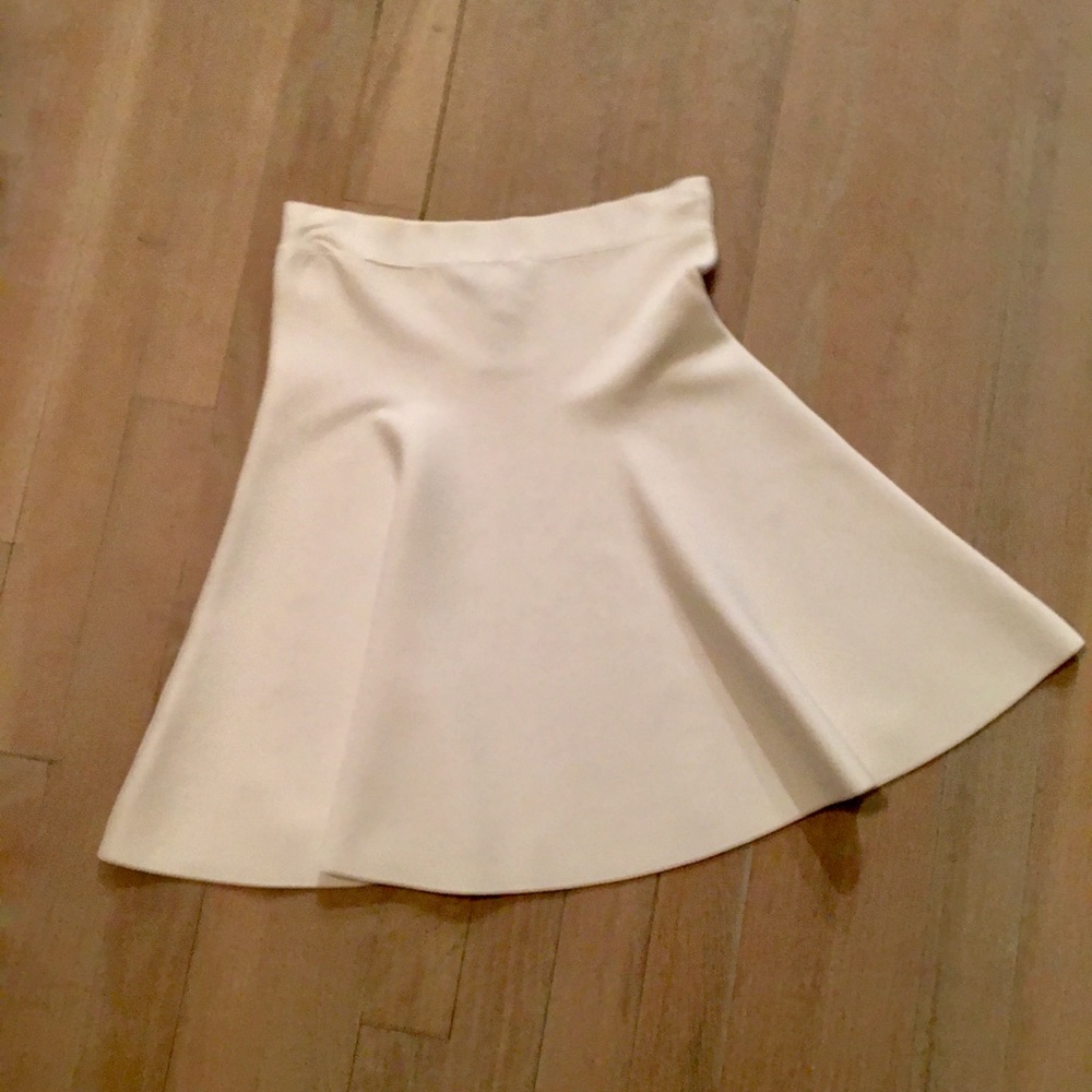 BCBG skirt